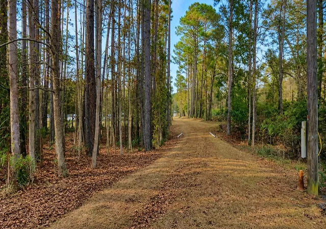 Homes for sale in Ravenel, SC | 5611 S Hwy 165, Ravenel, SC 29470 | MLS# 26015506