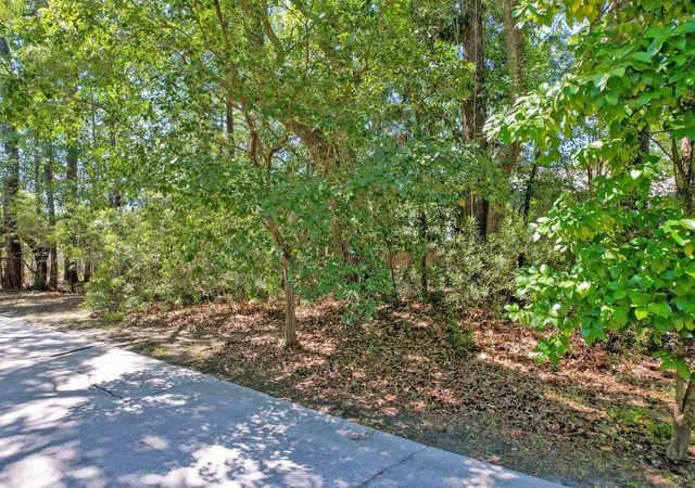 Photo 4 of Land for sale at 0 Marsh Flower Ln, Charleston, SC 29414 | MLS# 26018543 | Listing updated on 2026-09-10