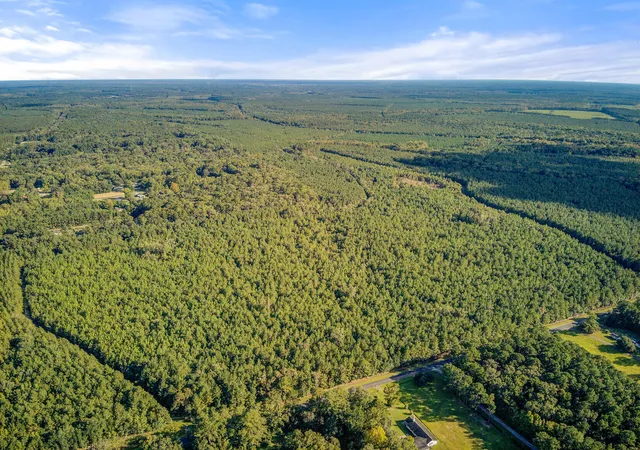 Photo 17 of Land for sale at 1739 Summers Dr, Ridgeville, SC 29472 | MLS# 26020733 | Listing updated on 2026-08-02