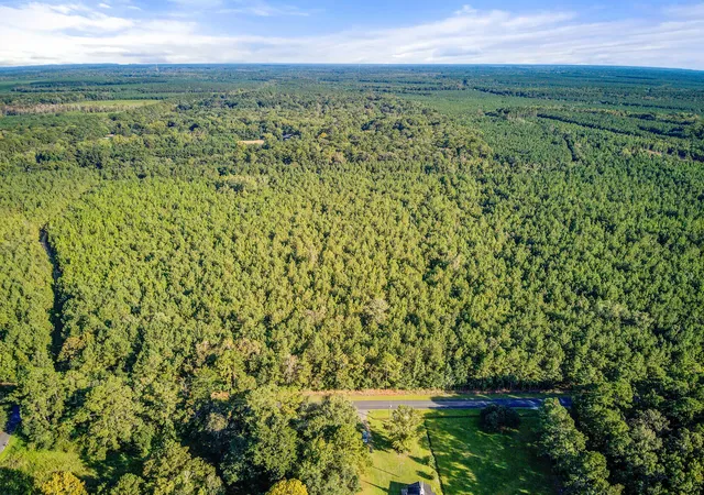 Photo 2 of Land for sale at 1739 Summers Dr, Ridgeville, SC 29472 | MLS# 26020733 | Listing updated on 2026-08-02