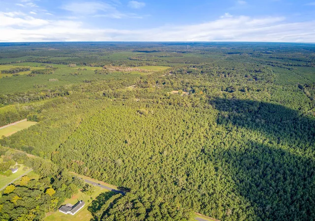 Photo 4 of Land for sale at 1739 Summers Dr, Ridgeville, SC 29472 | MLS# 26020733 | Listing updated on 2026-08-02
