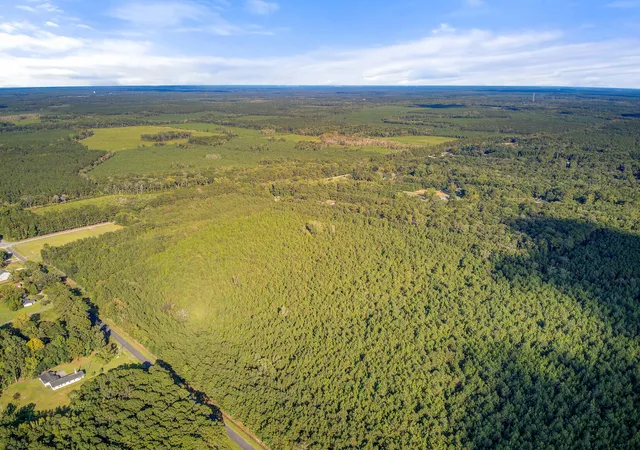 Photo 5 of Land for sale at 1739 Summers Dr, Ridgeville, SC 29472 | MLS# 26020733 | Listing updated on 2026-08-02