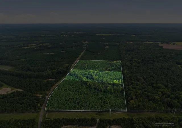Photo 3 of Land for sale at Lot 2 Catalina Blvd, Swansea, SC 29160 | MLS# 26023189 | Listing updated on 2026-09-01