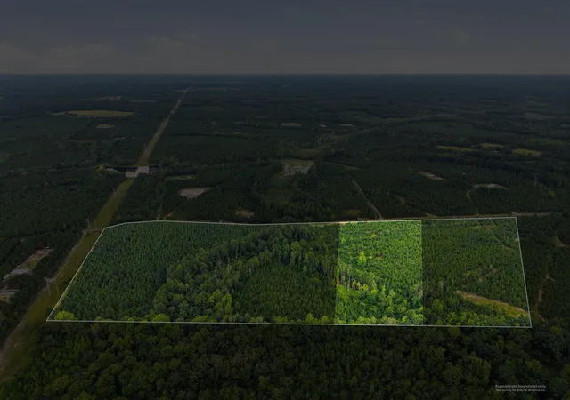 Photo 5 of Land for sale at Lot 2 Catalina Blvd, Swansea, SC 29160 | MLS# 26023189 | Listing updated on 2026-09-01
