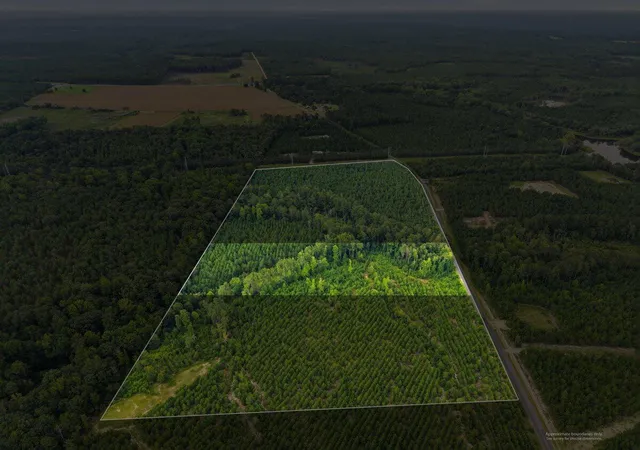 Photo 6 of Land for sale at Lot 2 Catalina Blvd, Swansea, SC 29160 | MLS# 26023189 | Listing updated on 2026-09-01