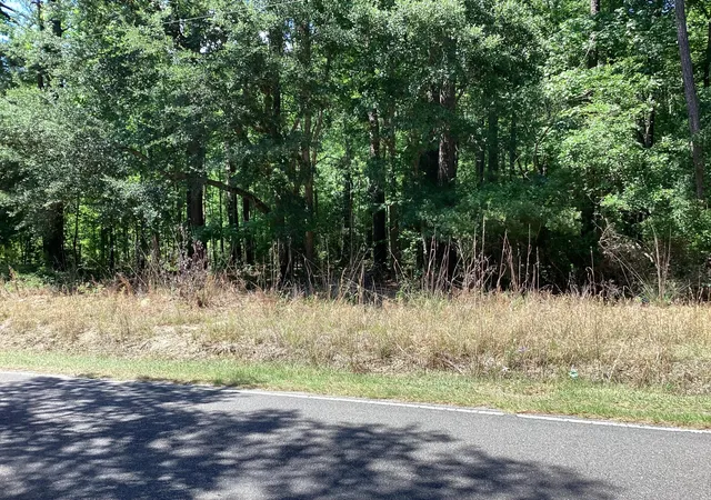 Homes for sale in Moncks Corner, SC | 0 Umbria Rd, Moncks Corner, SC 29461 | MLS# 26010886