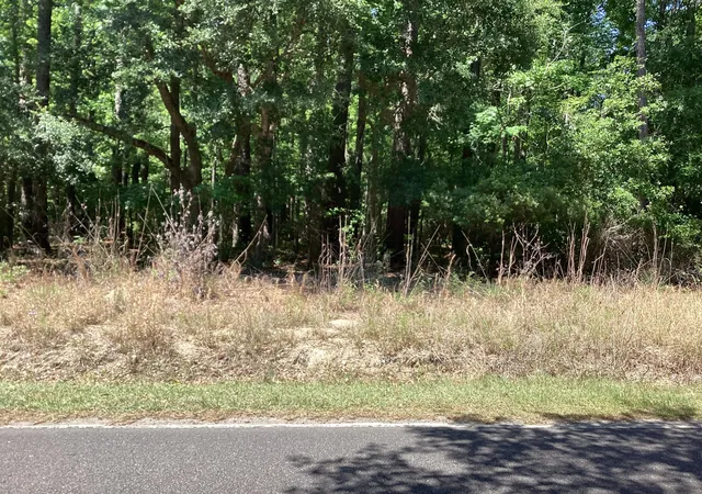 Homes for sale in Moncks Corner, SC | 0 Umbria Rd, Moncks Corner, SC 29461 | MLS# 26010886