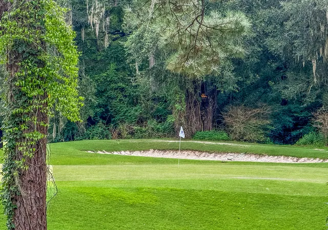 Photo 2 of Townhouse for sale at 206 Golfview Ln, Summerville, SC 29485 | MLS# 26020382 | Listing updated on 2026-09-16