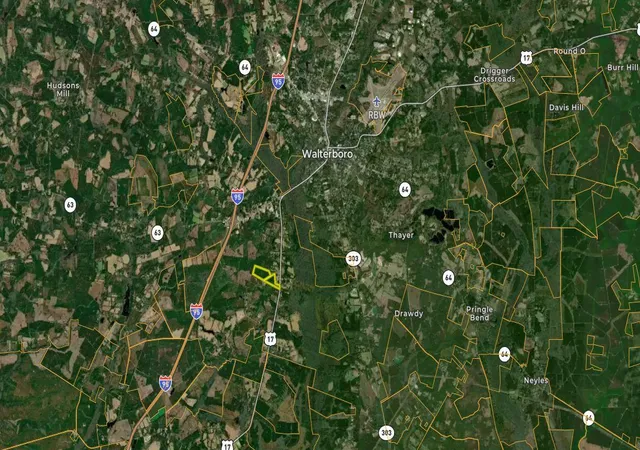 Photo 2 of Land for sale at 0000 Peniel Rd, Walterboro, SC 29488 | MLS# 25031598 | Listing updated on 2026-06-16