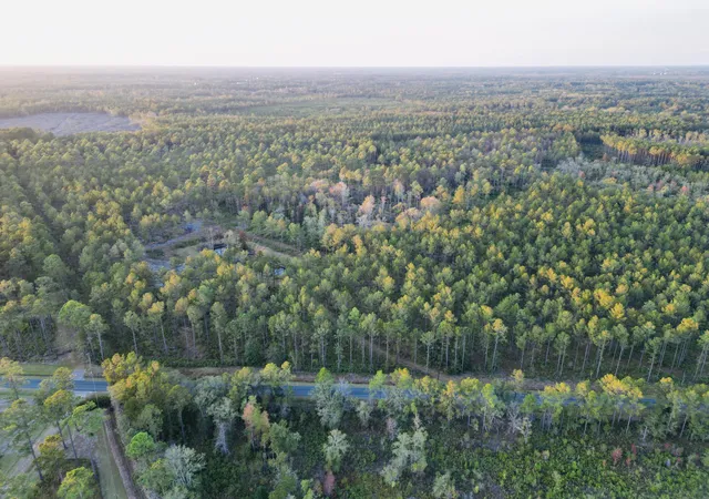 Photo 3 of Land for sale at 0000 Peniel Rd, Walterboro, SC 29488 | MLS# 25031598 | Listing updated on 2026-06-16