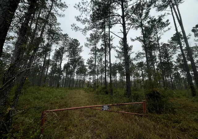 Photo 4 of Land for sale at 0000 Peniel Rd, Walterboro, SC 29488 | MLS# 25031598 | Listing updated on 2026-06-16