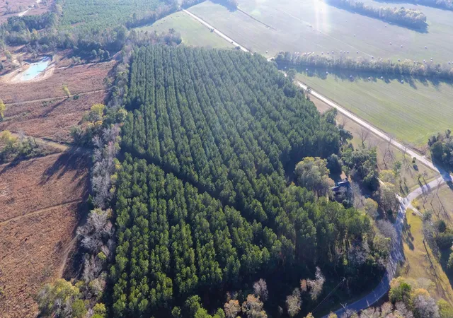 Photo 4 of Land for sale at 0 Rocks Pond Rd #L, Eutawville, SC 29048 | MLS# 26021452 | Listing updated on 2026-08-13