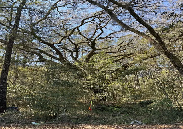 1st image of 5331 Old Military Rd #Lot 3, Adams Run, SC 29426 | MLS# 26022760