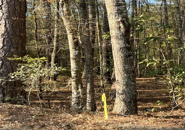 2nd image of 5331 Old Military Rd #Lot 3, Adams Run, SC 29426 | MLS# 26022760