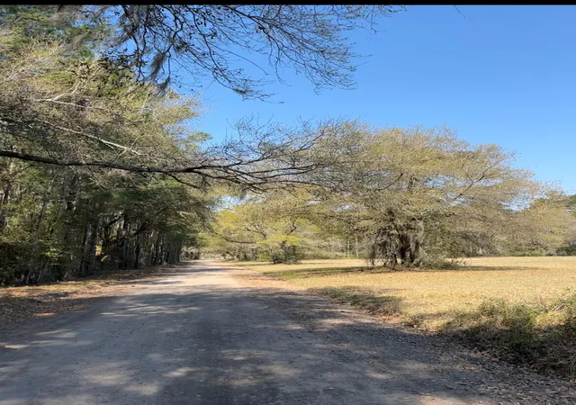 Photo 3 of Land for sale at 5331 Old Military Rd #3, Adams Run, SC 29426 | MLS# 26022760 | Listing updated on 2026-08-11