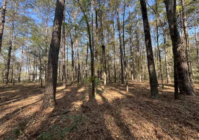Photo 3 of Land for sale at 5331 Old Military Rd #3, Adams Run, SC 29426 | MLS# 26022760 | Listing updated on 2026-08-11