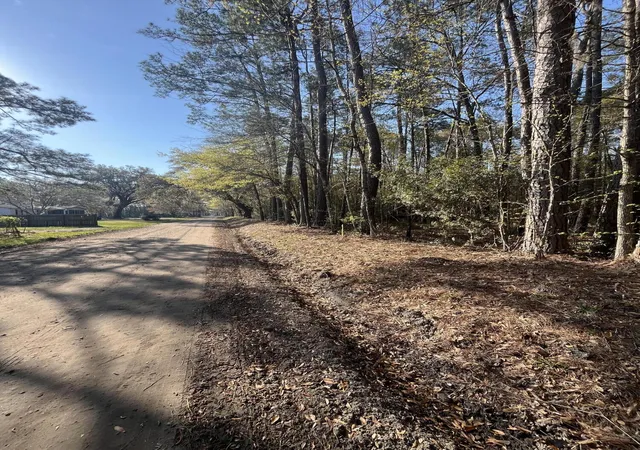 Photo 4 of Land for sale at 5331 Old Military Rd #3, Adams Run, SC 29426 | MLS# 26022760 | Listing updated on 2026-08-11