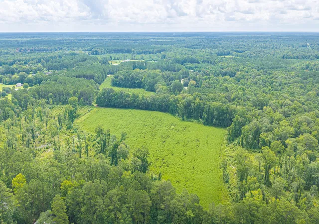 Photo 2 of Land for sale at 1570 Highway 61, Ridgeville, SC 29472 | MLS# 26020666 | Listing updated on 2026-07-21