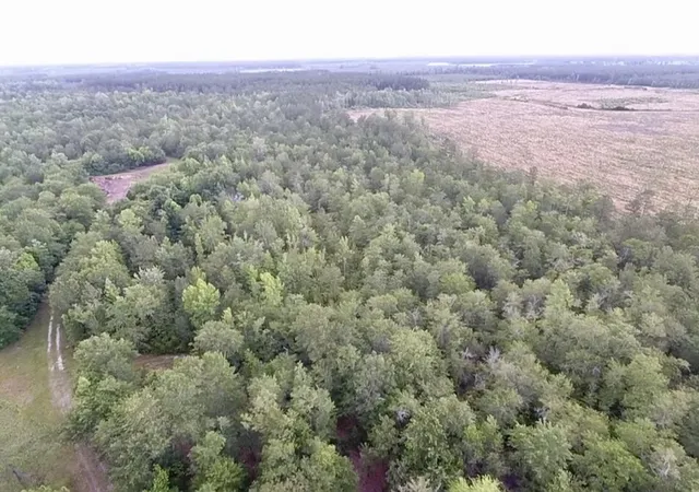 Photo 1 of Land for sale at 1800 Sc 311, Cross, SC 29436 | MLS# 22015566 | Listing updated on 2026-06-30