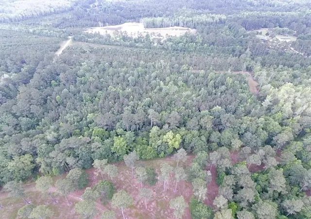 Photo 2 of Land for sale at 1800 Sc 311, Cross, SC 29436 | MLS# 22015566 | Listing updated on 2026-06-30