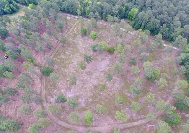 Photo 3 of Land for sale at 1800 Sc 311, Cross, SC 29436 | MLS# 22015566 | Listing updated on 2026-06-30