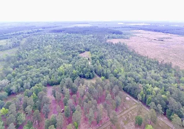 Photo 3 of Land for sale at 1800 Sc-311, Cross, SC 29436 | MLS# 22015566 | Listing updated on 2026-06-30