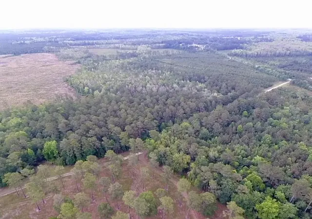 Photo 4 of Land for sale at 1800 Sc-311, Cross, SC 29436 | MLS# 22015566 | Listing updated on 2026-06-30