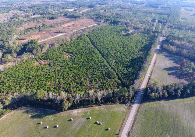 15th image of 0 Hwy 6, Eutawville, SC 29048 | MLS# 26023094