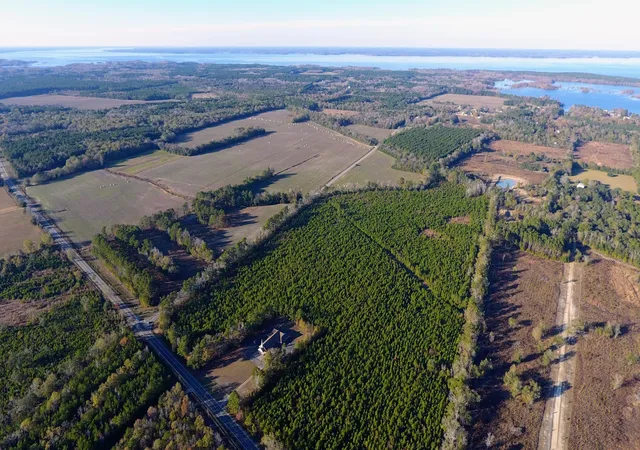 4th image of 0 Hwy 6, Eutawville, SC 29048 | MLS# 26023094