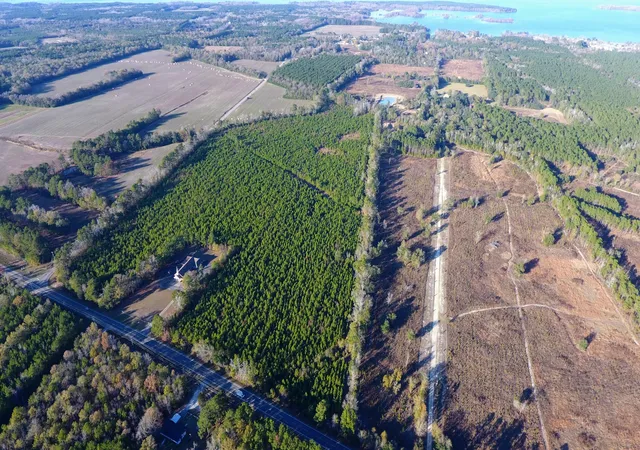 5th image of 0 Hwy 6, Eutawville, SC 29048 | MLS# 26023094