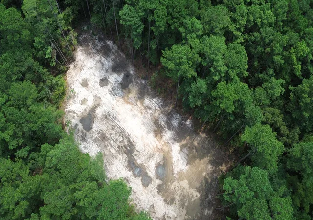 2nd image of 00 Cooper Store Rd, Moncks Corner, SC 29461 | MLS# 26023698