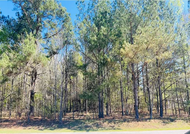 Photo 1 of Sale Pending at 142 Brown Meadows Ct, Orangeburg, SC 29115 | MLS# 24022666 | Listing updated on 2024-10-14