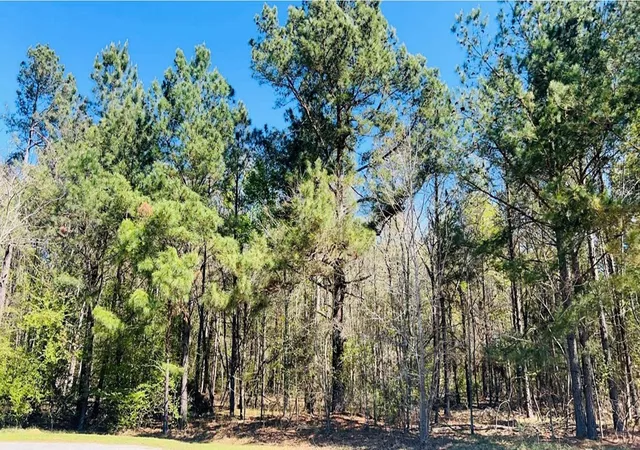 Photo 2 of Sale Pending at 142 Brown Meadows Ct, Orangeburg, SC 29115 | MLS# 24022666 | Listing updated on 2024-10-14