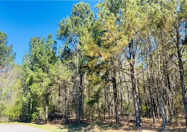 Photo 3 of Sale Pending at 142 Brown Meadows Ct, Orangeburg, SC 29115 | MLS# 24022666 | Listing updated on 2024-10-14