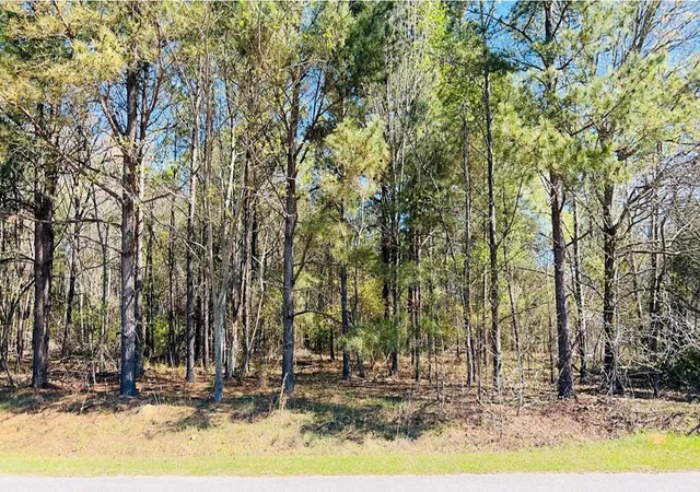 Photo 4 of Sale Pending at 142 Brown Meadows Ct, Orangeburg, SC 29115 | MLS# 24022666 | Listing updated on 2024-10-14
