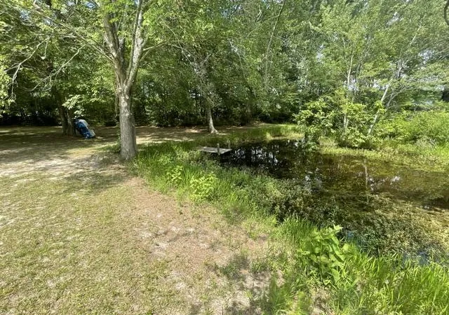 Photo 5 of Single family home for sale at 1440 Fellowship Dr, Manning, SC 29102 | MLS# 26017022 | Listing updated on 2026-07-15
