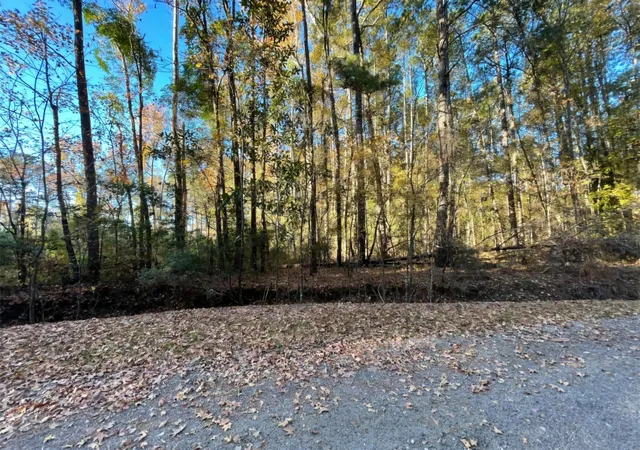 Photo 1 of Land for sale at 00 Dig It Rd, Summerville, SC 29483 | MLS# 25030750 | Listing updated on 2025-11-19