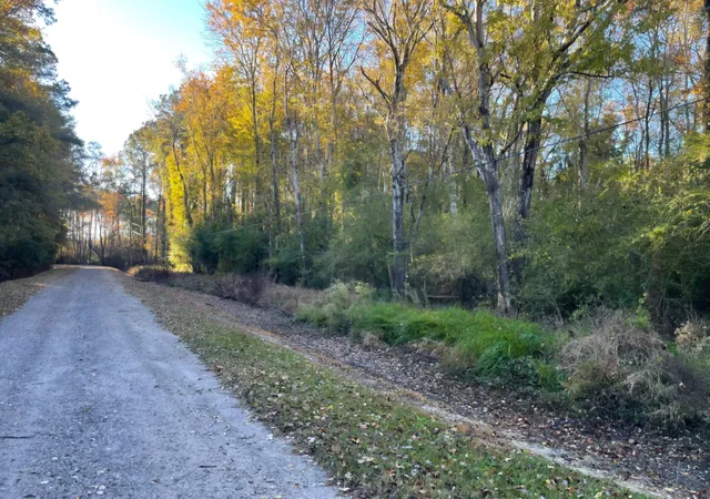 Photo 3 of Land for sale at 00 Dig It Rd, Summerville, SC 29483 | MLS# 25030750 | Listing updated on 2025-11-19