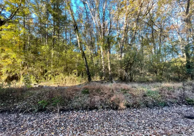 Photo 4 of Land for sale at 00 Dig It Rd, Summerville, SC 29483 | MLS# 25030750 | Listing updated on 2025-11-19