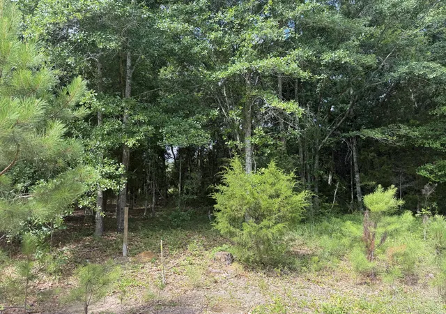 Photo 3 of Land for sale at 0 Norway Rd, Orangeburg, SC 29115 | MLS# 26018271 | Listing updated on 2026-06-24