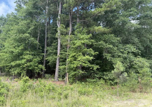 Photo 3 of Land for sale at 0 Norway Rd, Orangeburg, SC 29115 | MLS# 26018271 | Listing updated on 2026-06-24