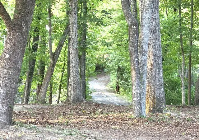 1st image of 9792 Old Number Six Hwy, Santee, SC 29142 | MLS# 26022967