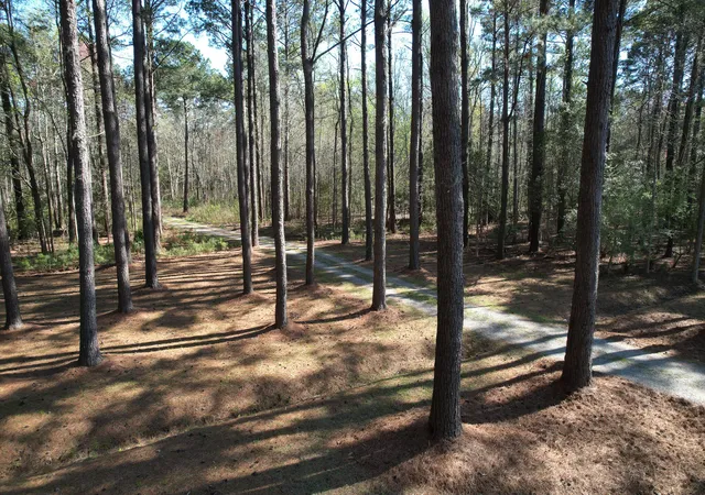 87th image of 6042 Pawlett Blake Ln, Wadmalaw Island, SC 29487 | MLS# 26008146