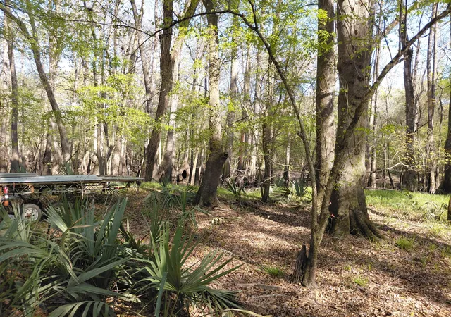 Homes for sale in Ridgeville, SC | Lot 2 & 3 Gator Cv, Ridgeville, SC 29472 | MLS# 26007720