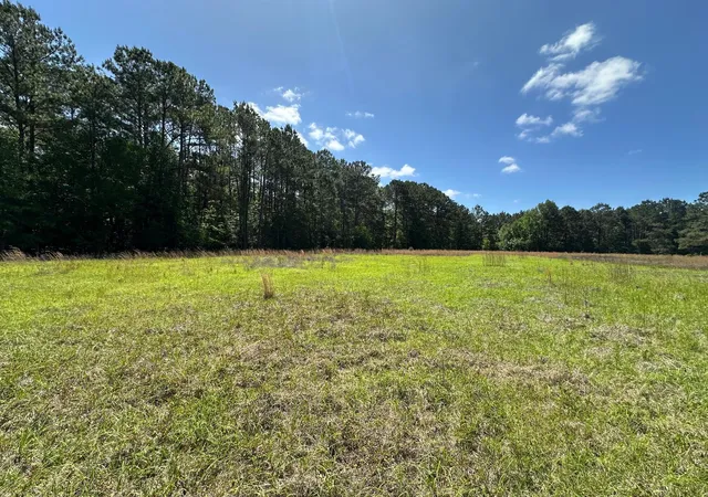 Photo 2 of Land for sale at 0 Willtown Rd, Hollywood, SC 29449 | MLS# 25012053 | Listing updated on 2025-12-01