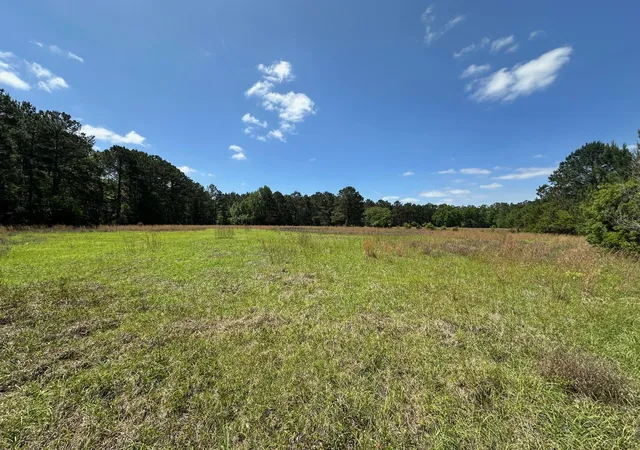 Photo 3 of Land for sale at 0 Willtown Rd, Hollywood, SC 29449 | MLS# 25012053 | Listing updated on 2025-12-01