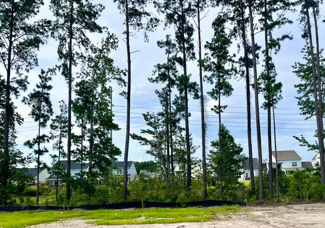Photo 3 of Single family home for sale at 422 Brightside Trl, Summerville, SC 29486 | MLS# 26022411 | Listing updated on 2026-09-18