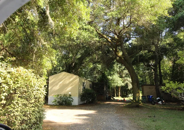 Homes for sale in Johns Island, SC | 3339 River Rd, Johns Island, SC 29455 | MLS# 26013987