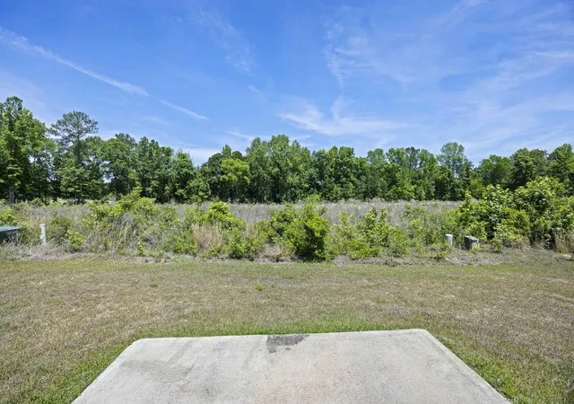 Homes for sale in Manning, SC | 1326 Warrens Way, Manning, SC 29102 | MLS# 25031226