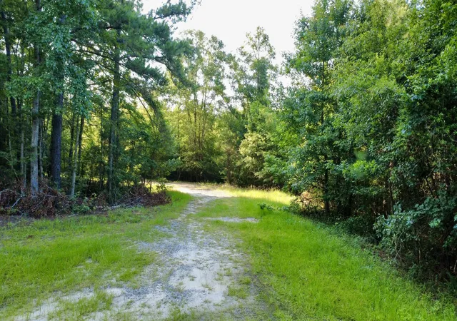Photo 3 of Land for sale at 1 Weathers Farm Rd, Bowman, SC 29018 | MLS# 26019410 | Listing updated on 2026-09-09